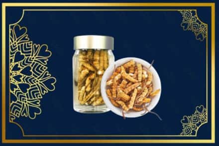 吉安新干县回收散虫草